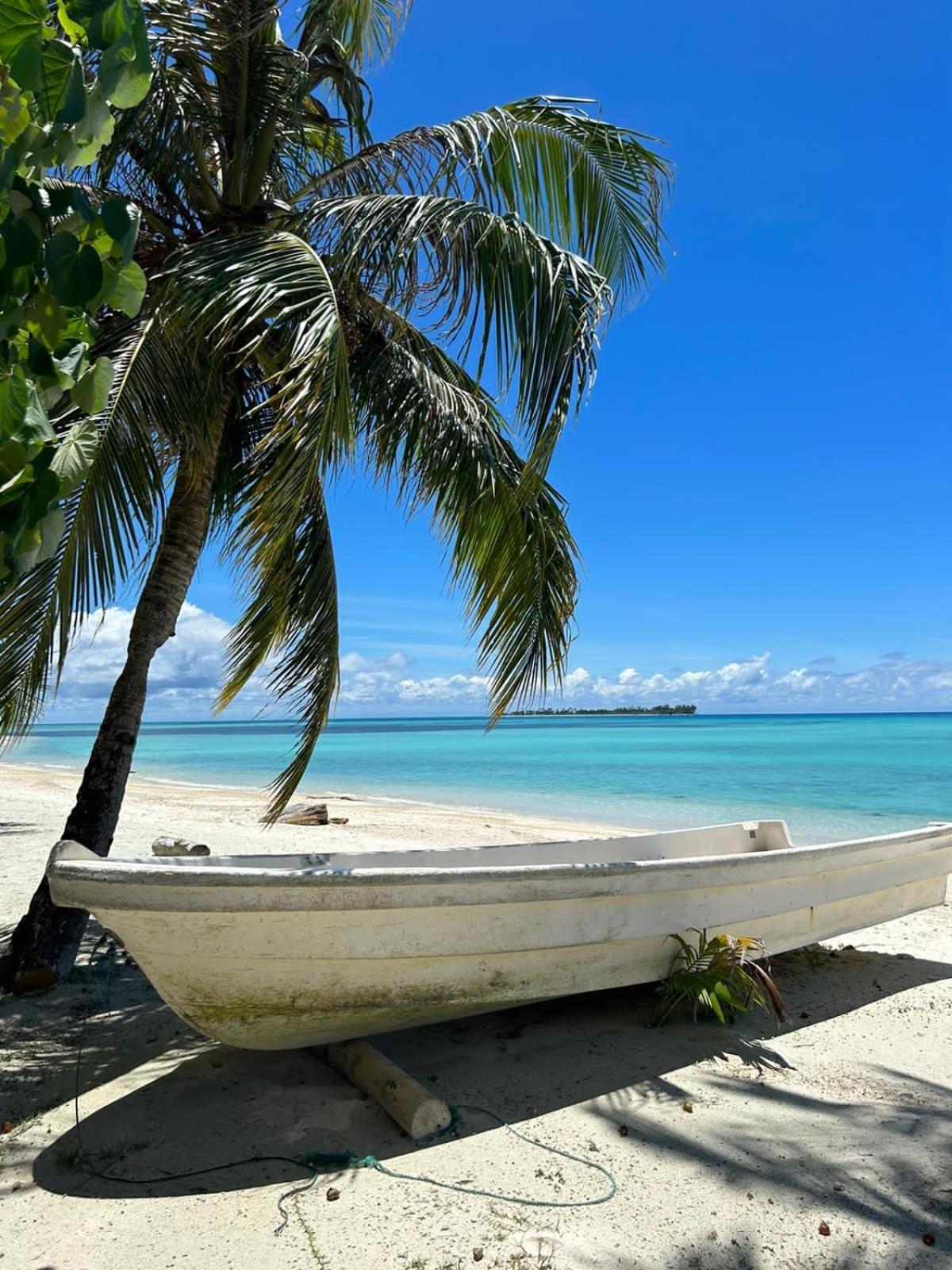Pulau Palambakbesar Palambak Paradise Resort Pulau Banyak מראה חיצוני תמונה